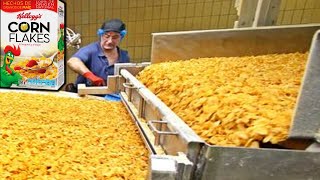 COMO se HACEN los CEREALES de MAÍZ CORN FLAKES🥣 Como se FABRICAN los CEREALES para el DESAYUNO [upl. by Danyluk]