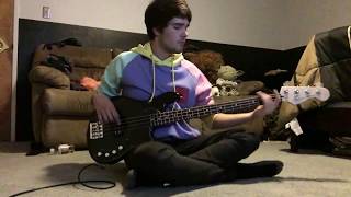 Mac DeMarco  Robson Girl Bass Cover [upl. by Ilrahs48]