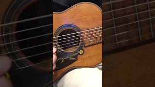 Giuseppe Indelicato Contarino Early 1900s Parlor Guitar OHSC [upl. by Tutto]