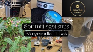 Del 4 Gör mitt eget snus på egenodlad tobak i en tryckkokare  multicocker från Jula [upl. by Akinwahs]