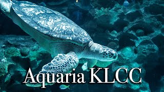 aquaria KLCC in Kuala Lumpur  Largest Aquarium in Malaysia【Full Tour in 4k】 [upl. by Attoynek]