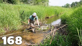 Manual Beaver Dam Removal No168  Green Spring [upl. by Airekahs697]