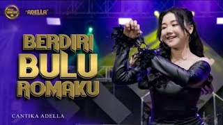 BERDIRI BULU ROMAKU  Cantika Adella OM ADELLA [upl. by Eerak]