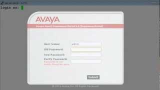 How to Reset the WebAdmin Password on an Avaya Voice Portal and Experience Portal [upl. by Khalil420]