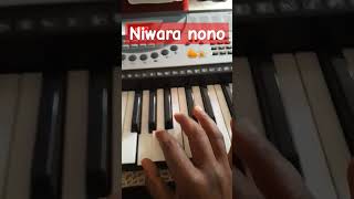 Niwara Nono piano tutorial shorts [upl. by Ahsieym]