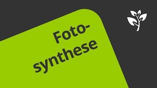 Experimente zur Fotosynthese und Atmung bei Pflanzen  Biologie [upl. by Adora]