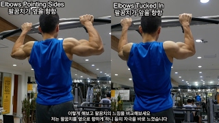 Why Pull Ups Hurt Your Elbows [upl. by Ahsiekar]