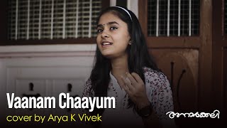 Vaanam Chaayum  Cover Song  Anarkali  KS Harishankar [upl. by Yasu]