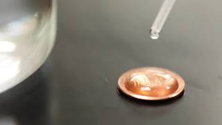 Adhesion and Cohesion Demo The Penny Game [upl. by Aicilana]