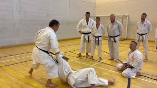 Guy Brodeur HDKI seminar on Heian Nidan bunkai in Dublin September 2024 [upl. by Mazman]