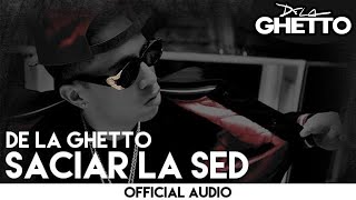 De La Ghetto  Saciar La Sed Official Audio [upl. by Eraste776]