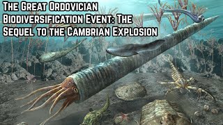 The Sequel to the Cambrian Explosion [upl. by Hen359]