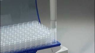 How to use the Forward Pipetting technique with Eppendorf Research® plus mechanical pipettes [upl. by Dacy]