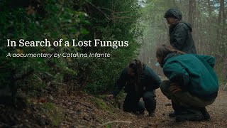 In Search of a Lost Fungus  Short film [upl. by Arezzini49]