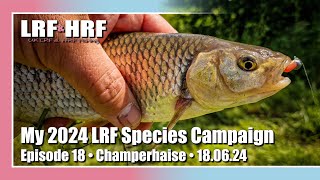 Episode 18 My 2024 LRF Species Hunt  Champerhaies [upl. by Niuq]