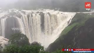 VIDEO  JOG FALLS SHIMOGA LATEST  KARNATAKA BEAUTIFUL WATERFALL  YOYO TV Kannada [upl. by Pomcroy]