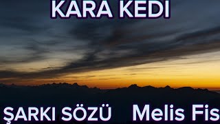 MELİS FİS  quotKARA KEDİquot ŞARKI SÖZLERİLYRICS [upl. by Nyrrat]