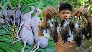 Primitive Technology Hunting and Cooking Wild Birds Recipe In the Forest [upl. by Schwinn]