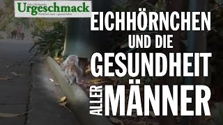 Eichhörnchen und die Gesundheit aller Männer [upl. by Flossi]