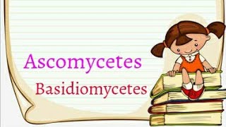 Ascomycetes basidiomycetes  tricks for NEET  tricks for 2020  Fungi tricks [upl. by Zsa]