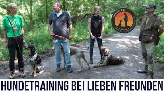 Gehorsam  Leinenführigkeit  Apportieren  Hundeschule UB [upl. by Nirehtac212]