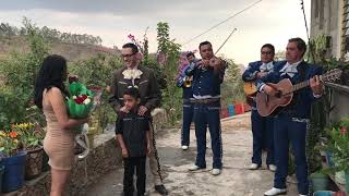 Mariachi Proposal  Propuesta de Matrimonio con Mariachi [upl. by Yaniv620]