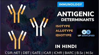 Antigenic Determinants  Isotypes  Allotypes  Idiotypes  Immunology [upl. by Ehrsam511]