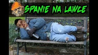 SPANIE NA ŁAWCE  🍺Hobo Tough Life Bladii Plaga Dobrodziej [upl. by Lennaj]