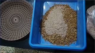 Smartest way to separate frass pupae and larvae Breed  Mealworms [upl. by Alekahs]