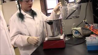 Enzymatic Hydrolysis Instructional Video [upl. by Lamoureux]