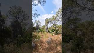 Stone Forest Kunming China🇨🇳 china stoneforest 石林 kunming yunnan travel rockformation [upl. by Niret]