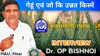 गेंहू एवं जौ की उन्नत किस्मे  डॉओमप्रकाश बिश्नोई गेंहू प्रजनक हरियाण कृषि विश्विद्यालय हिसार 2024 [upl. by Eener177]