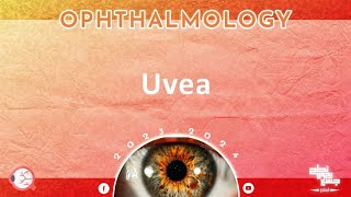 Ch Uveal tract disorders 2 ophthalmology [upl. by Ariet819]