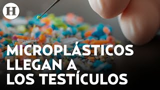 ¡Encuentran microplásticos en testículos humanos Podrían afectar al recuento de espermatozoides [upl. by Annaeerb]