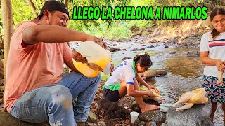 LLEGO LA CHELONA ANIMARLOS SE SINTIERON ALEGRE C9 [upl. by Yrbua]