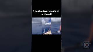 5 scuba divers rescued in hawaii [upl. by Nosyt]