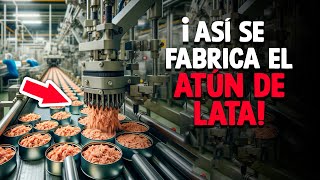 ¿Cómo Se Hace El Atún En Lata Proceso En Fábrica [upl. by Storm826]