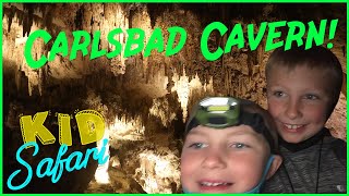 Carlsbad Cavern Kid Safari [upl. by Neu]