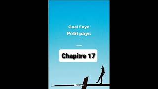 17  Petit Pays  Gael Faye  aide à la lecture  Chapitre 17 [upl. by Madelena]