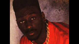 Big Daddy Kane Get Into It Best Quality [upl. by Pinsky]