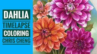 DAHLIA Flowers  Timelapse Coloring  Chris Cheng [upl. by Goar293]