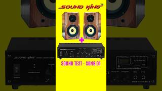 1 Sound King F35K Speaker  sk25000 21 Amplifier Sound Test [upl. by Liza233]