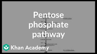 Pentose phosphate pathway  Cyclic structures and anomers  Biomolecules  MCAT  Khan Academy [upl. by Odlaw]