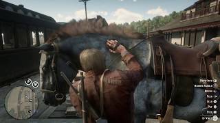 Red Dead Redemption 2 Get to Annesburg [upl. by Adirahs]