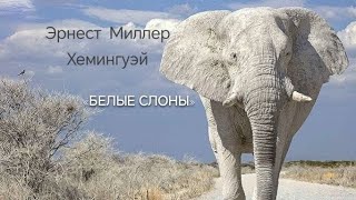 Аудиокнига  Эрнест Миллер Хемингуэй quotБелые слоныquot [upl. by Nork204]