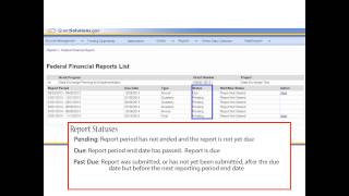 Introduction to the Federal Financial Report FFR for Grantees [upl. by Bej]