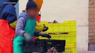 Day 129  Mussel and Oyster farming in Saldanha Bay  South Africa [upl. by Tioneb]