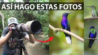 Fotografía de Colibríes  Cómo configurar la cámara 📸​ [upl. by Inavoy]