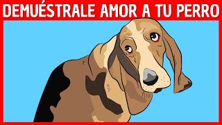 9 Maneras de DECIRLE a tu PERRO que LO AMAS [upl. by Thurston]