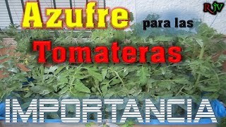 AZUFRE para las TOMATERAS como APLICAR y Beneficios El ratillo de Juan Valentín [upl. by Aviva388]